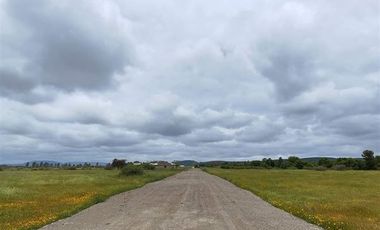 Sitio en Venta en CAPELLANIA M LT.B 31