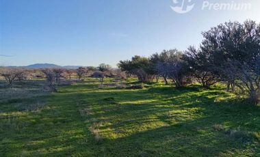 Sitio en Venta en CAPELLANIA M LT.B 31