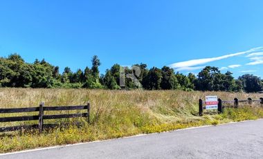 PARCELA CON ACCESO A RIO MAULLIN EN LINEA NUEVA