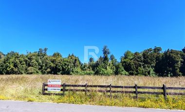 PARCELA CON ACCESO A RIO MAULLIN EN LINEA NUEVA