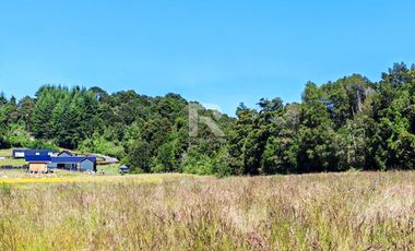 PARCELA CON ACCESO A RIO MAULLIN EN LINEA NUEVA