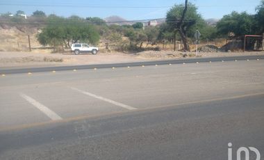 TERRENO COMERCIAL EN RENTA