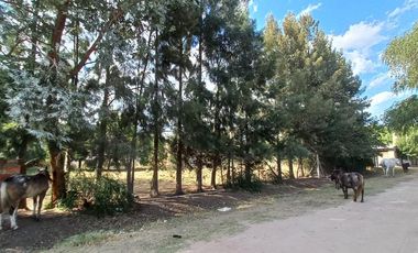Terreno en  Cañuelas