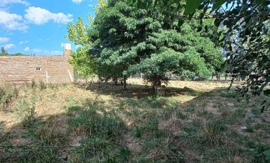 Terreno en  Cañuelas
