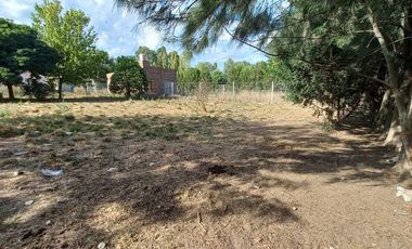 Terreno en  Cañuelas