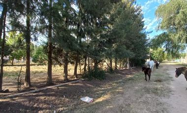 Terreno en  Cañuelas