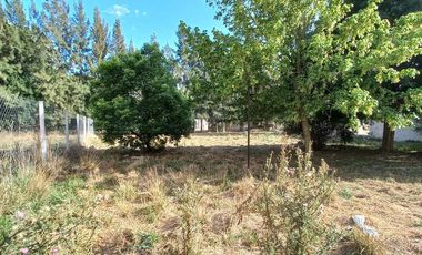 Terreno en  Cañuelas