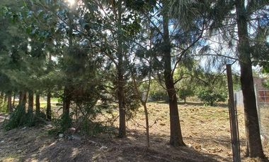 Terreno en  Cañuelas