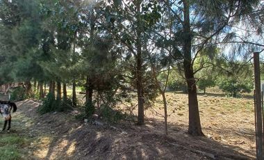 Terreno en  Cañuelas
