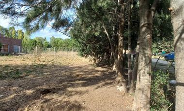 Terreno en  Cañuelas