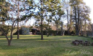 Venta Quinta para uso Profesional/Comercial en Canning