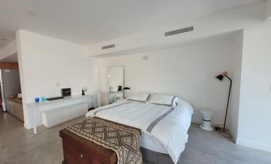 Departamento en el PALACIO PAZ en  alquiler amoblado Retiro