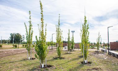 Terreno en EcoPueblo