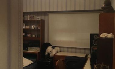 Departamento en  Las Lomitas