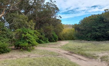 Terrenos en venta - 1.353Mts2 - Arenas Verdes, Lobería