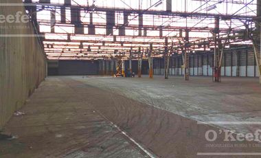ALQUILER GALPÓN 10.000 M2 CIR 2 EN PESOS AL OFICIAL  EXPENSAS INCLUIDAS!! ZONA SUR BERAZATEGUI