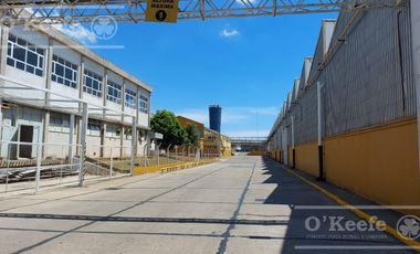 ALQUILER GALPÓN 10.000 M2 CIR 2 EN PESOS AL OFICIAL  EXPENSAS INCLUIDAS!! ZONA SUR BERAZATEGUI