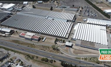 ALQUILER GALPÓN 10.000 M2 CIR 2 EN PESOS AL OFICIAL  EXPENSAS INCLUIDAS!! ZONA SUR BERAZATEGUI
