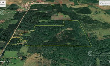 Chacra en Santo Pipo,  44 ha forestación, yerba y monte