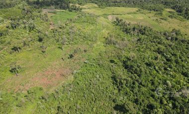 Chacra en Santo Pipo,  44 ha forestación, yerba y monte