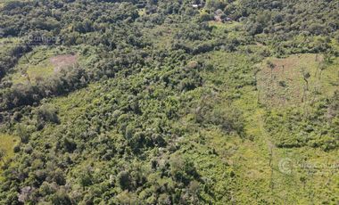 Chacra en Santo Pipo,  44 ha forestación, yerba y monte