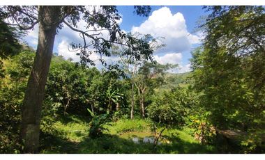 Venta de finca de 2 hectáreas en 550 millones en La Mesa Cund, Col