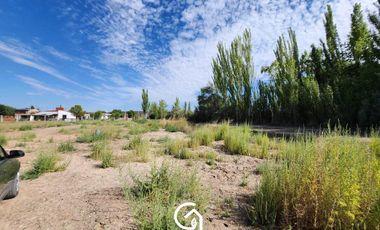 ALQUILER Terreno 1 hectárea -Neuquén Capital