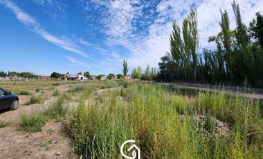 ALQUILER Terreno 1 hectárea -Neuquén Capital