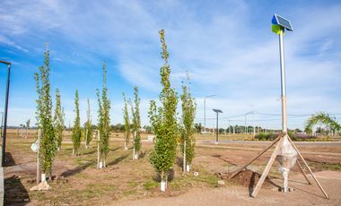 Terreno en EcoPueblo