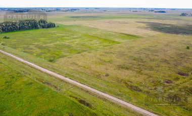 Campo en  ABBOTT