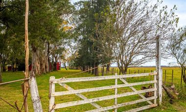 Campo en  ABBOTT