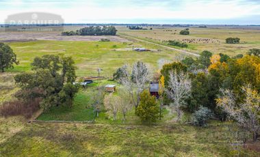 Campo en  ABBOTT