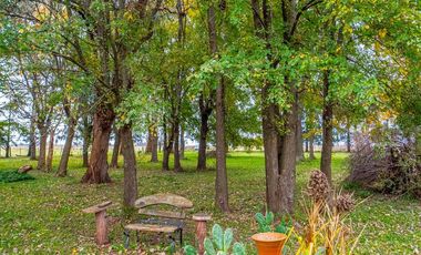 Campo en  ABBOTT