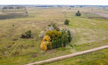 Campo en  ABBOTT
