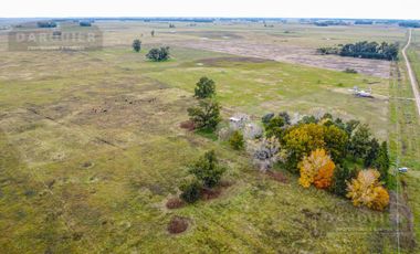 Campo en  ABBOTT