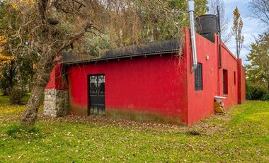 Campo en  ABBOTT