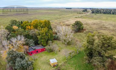 Campo en  ABBOTT