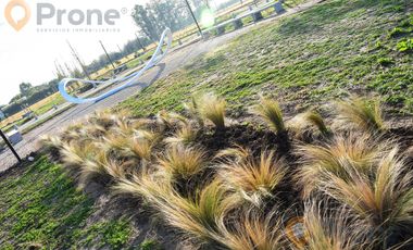 Terreno en EcoPueblo