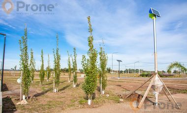Terreno en EcoPueblo