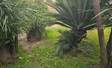Pacheco - Zeballos al 1000 -  Casa lote propio para uso comercial y vivienda