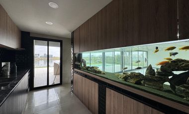 VENTA, CASA, SAN SEBASTIAN, AREA 7, LOTE AL 100