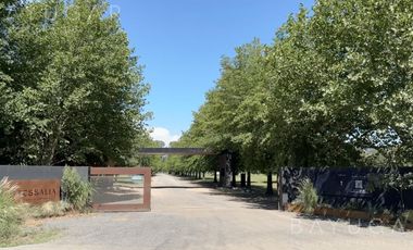 Alquiler Casa - Barrio Cerrado Tessalia - Pilar - Moderna con jardín y pileta