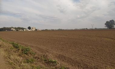 Campo de 3.7 Has Arroyo Seco