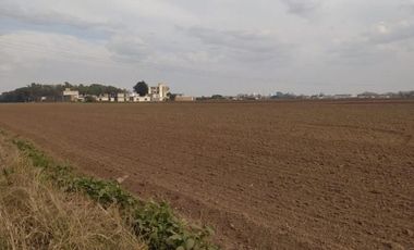 Campo de 3.7 Has Arroyo Seco