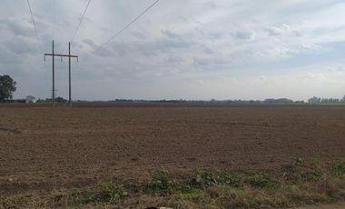 Campo de 3.7 Has Arroyo Seco