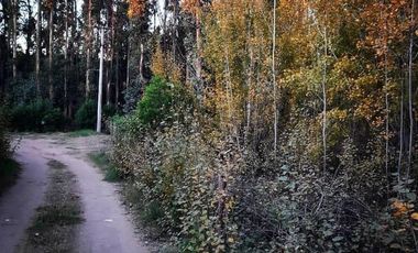 Terrenos en venta - 600Mts2 - Arenas Verdes, Lobería