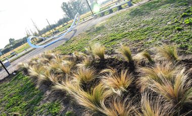 Terreno en EcoPueblo