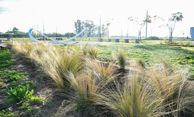 Terreno en EcoPueblo