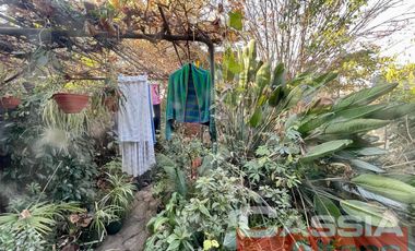 CASA AL FRENTE EN PH, TRES AMBIENTES CON GARAGE Y FONDO LIBRE, OPORTUNIDAD
