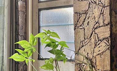 CASA AL FRENTE EN PH, TRES AMBIENTES CON GARAGE Y FONDO LIBRE, OPORTUNIDAD
